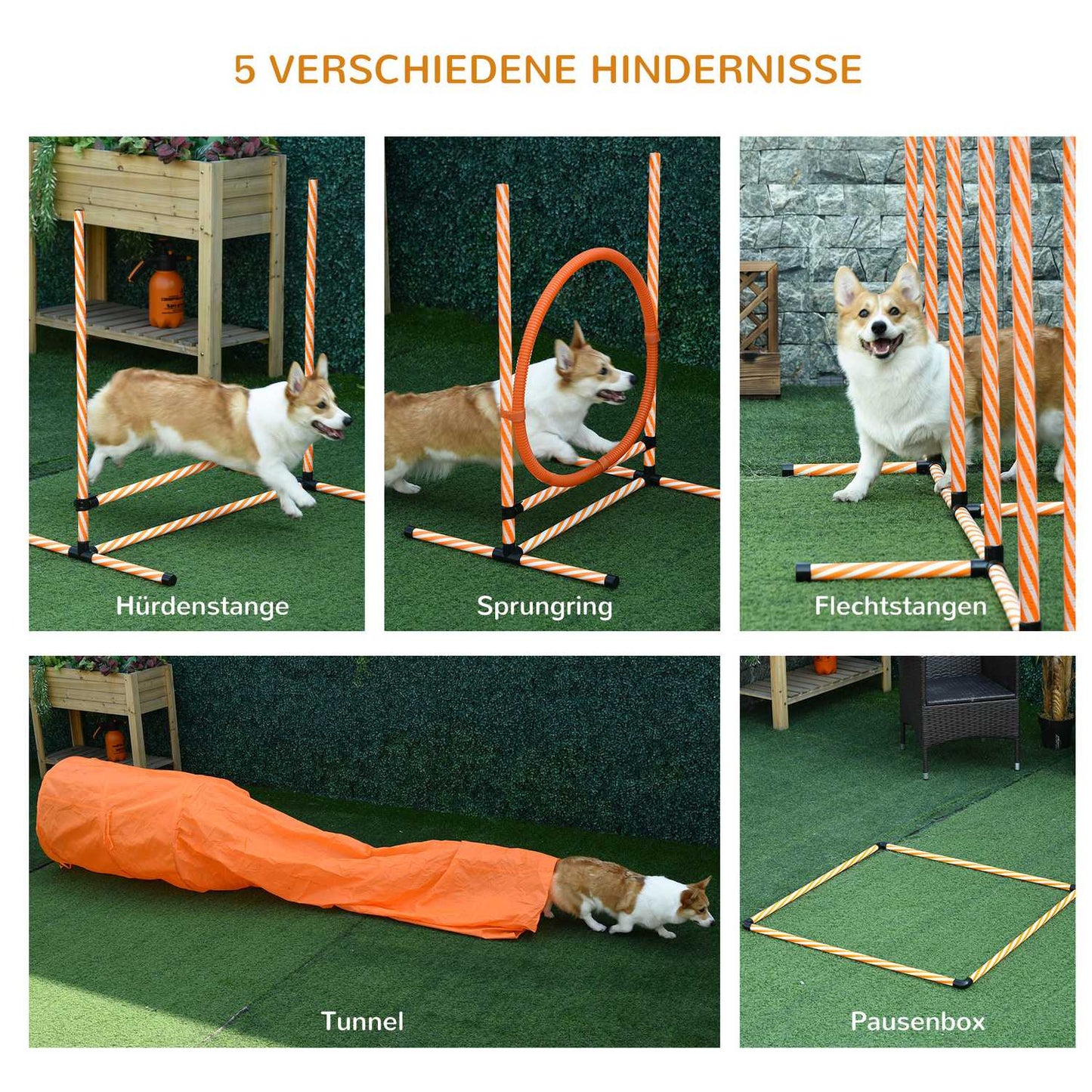 Dog Agility Training Set with Tunnel, Portable Orange/White