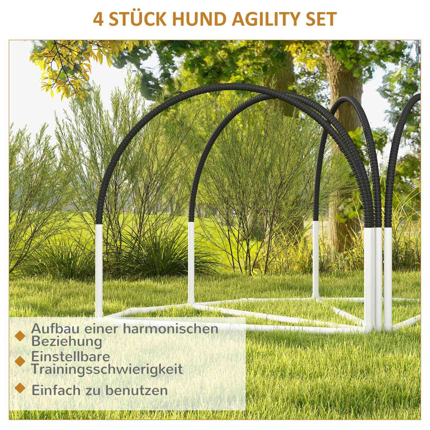 Dog Agility training set with slalom poles, carrying case