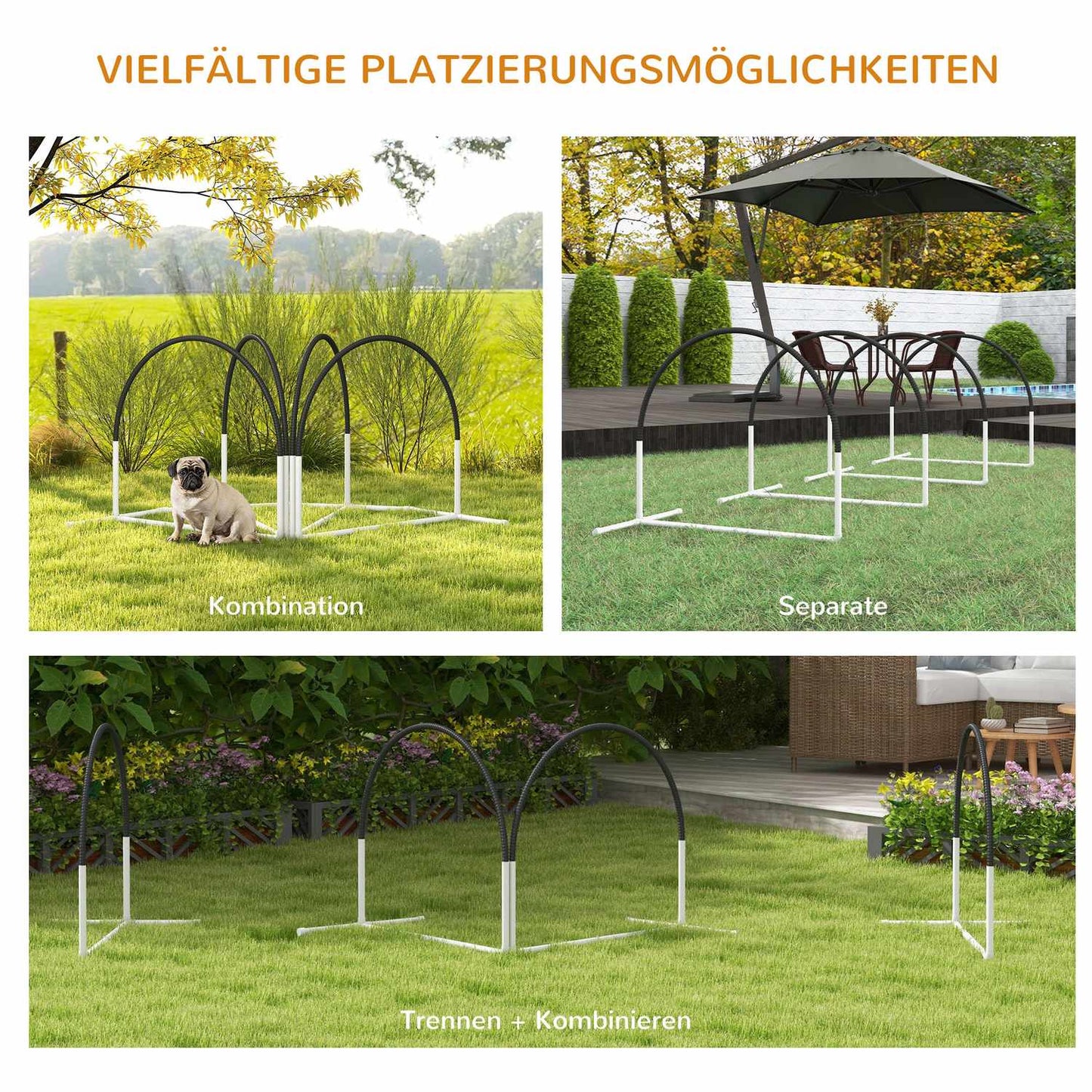 Dog Agility training set with slalom poles, carrying case