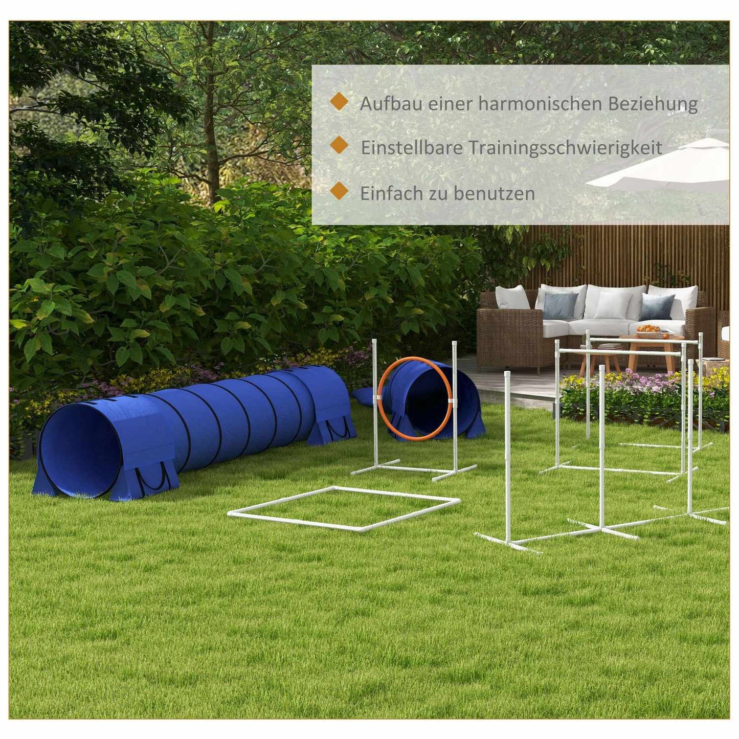 Dog Agility Set with adjustable obstacles and tunnel