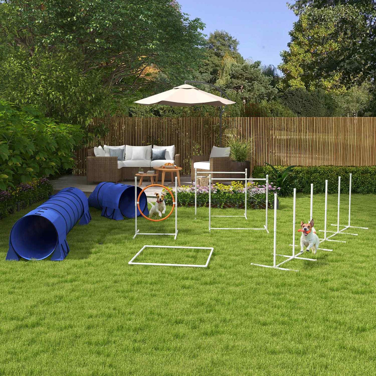 Dog Agility Set with adjustable obstacles and tunnel