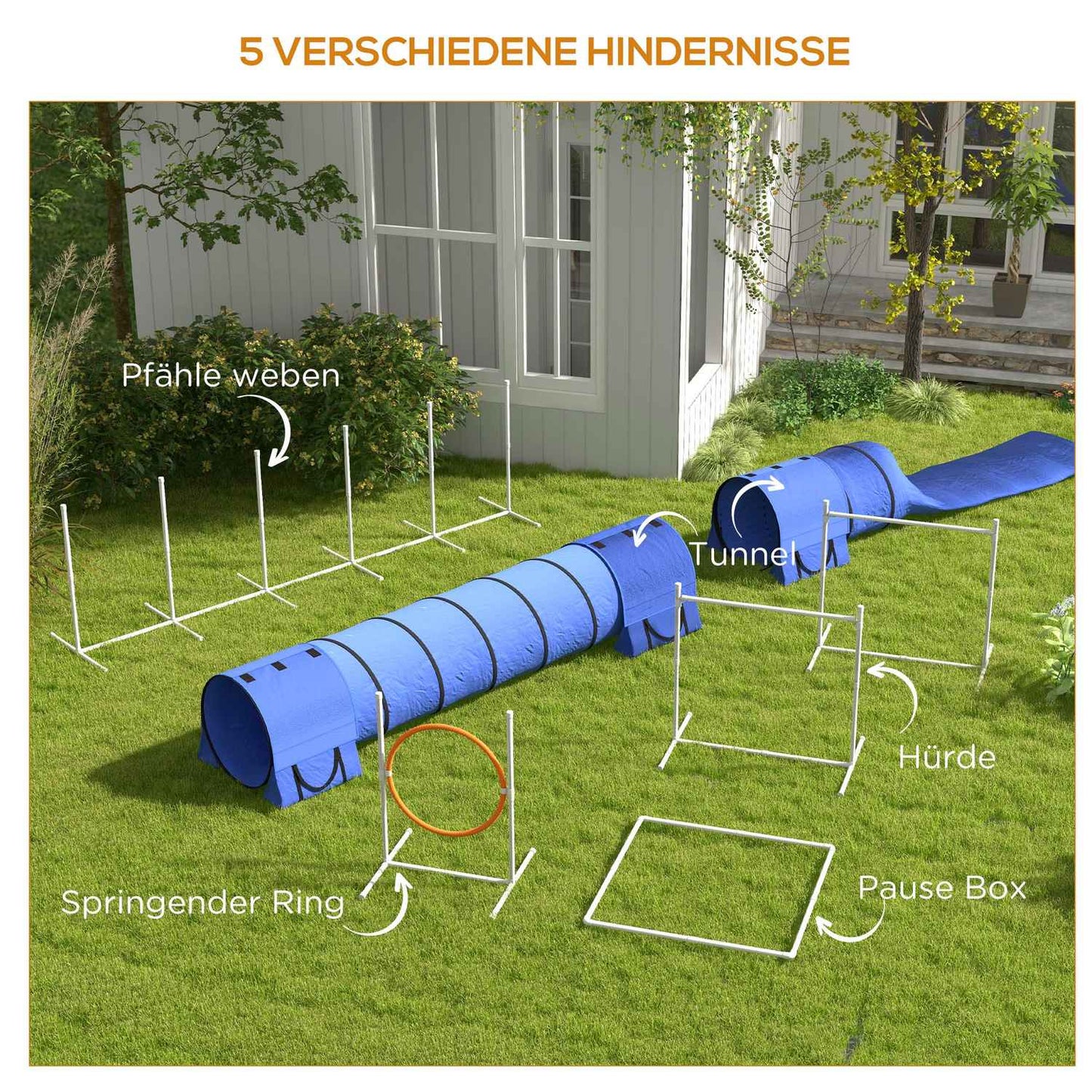 Dog Agility Set with adjustable obstacles and tunnel