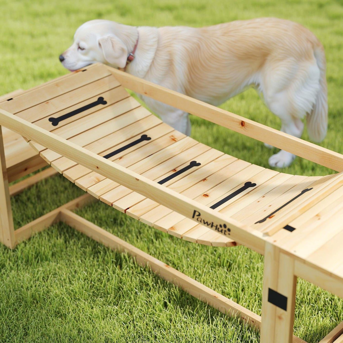 Dog Agility Set for Large Dogs - Gran Wood, Set of 4