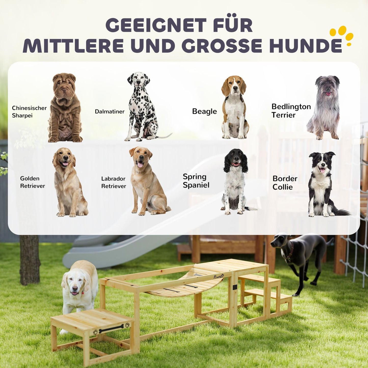 Dog Agility Set for Large Dogs - Gran Wood, Set of 4
