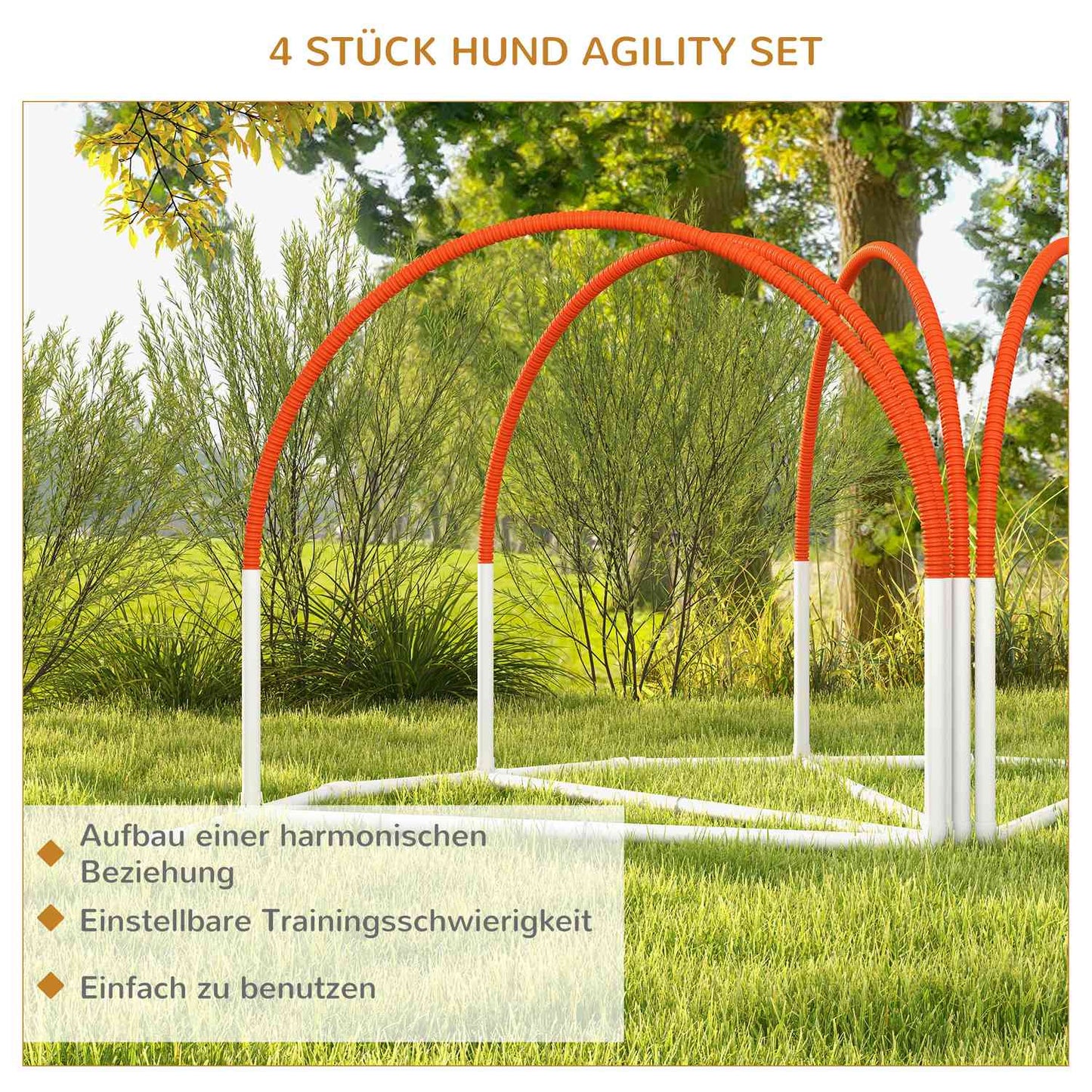 Dog Agility Set with Slalom Poles, Portable Carrying Case