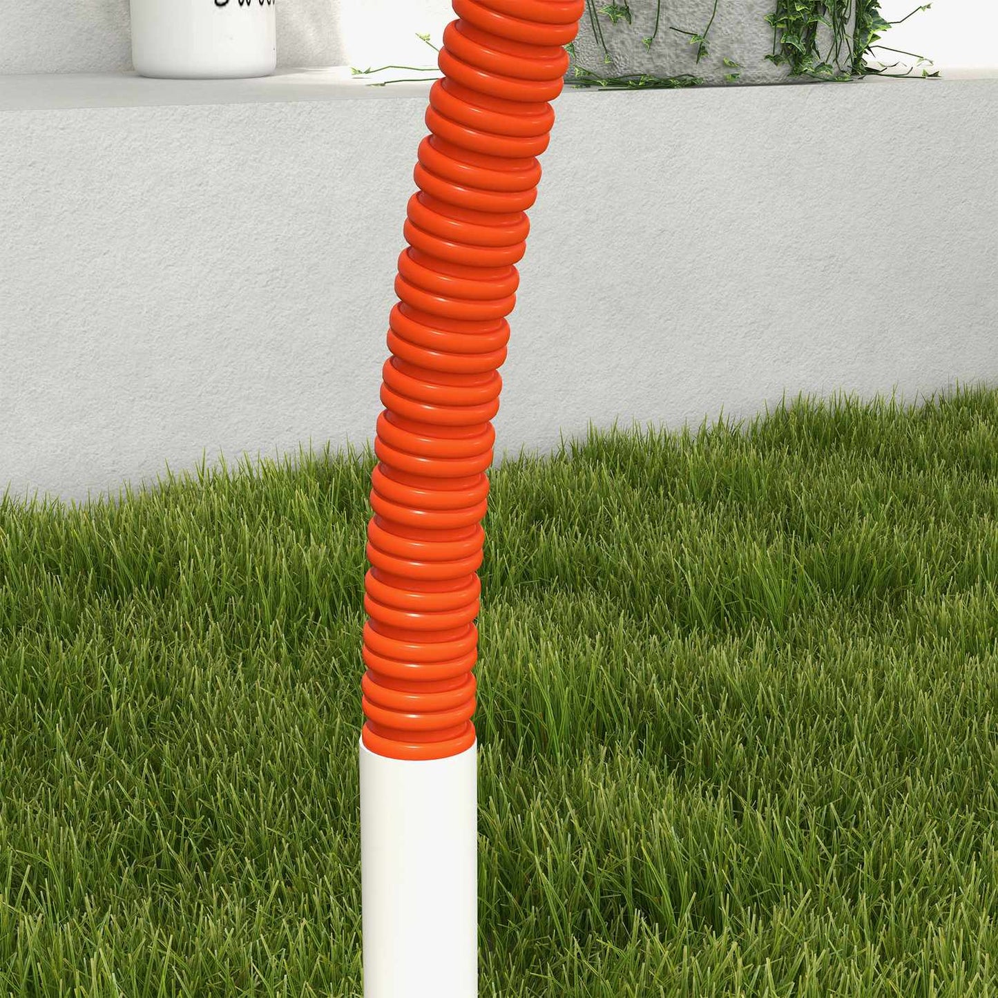 Dog Agility Set with Slalom Poles, Portable Carrying Case