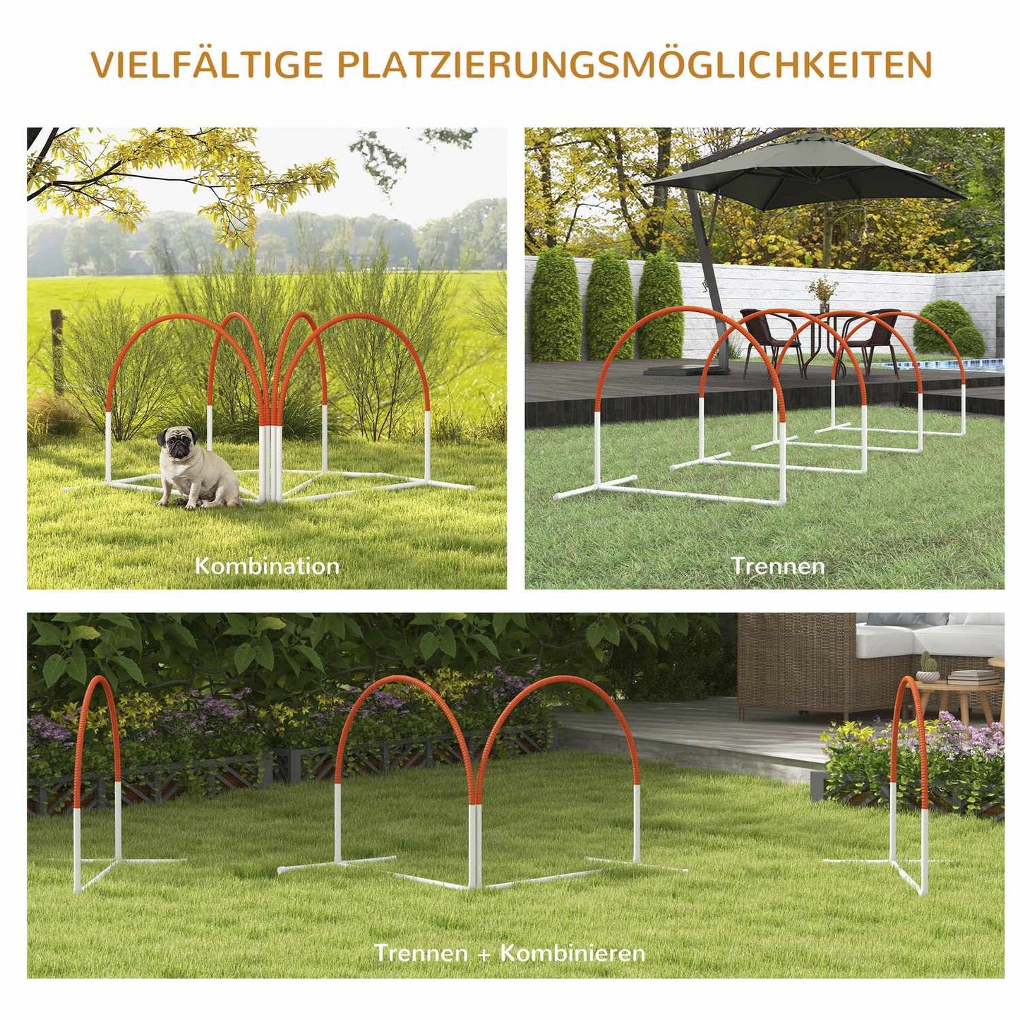 Dog Agility Set with Slalom Poles, Portable Carrying Case
