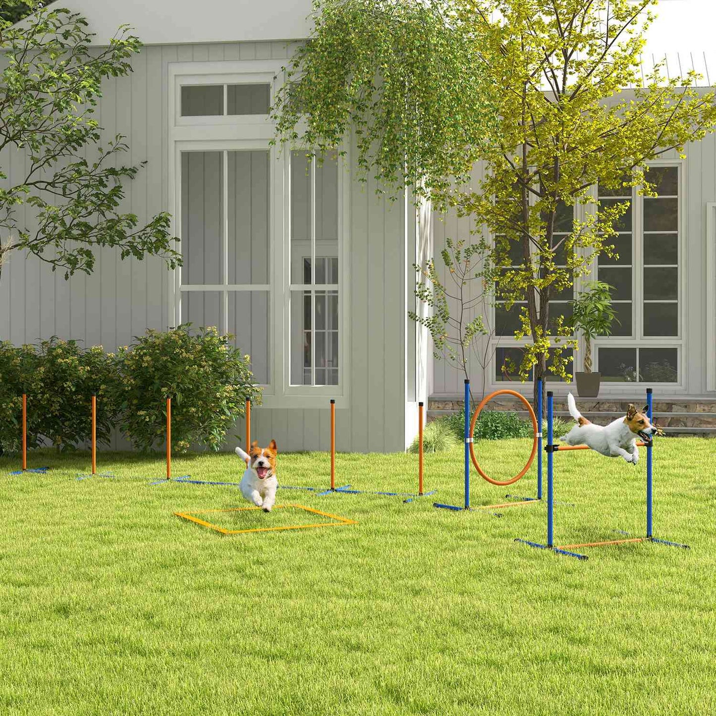 Dog Agility Set - Adjustable hurdle & jumping ring, 4-piece