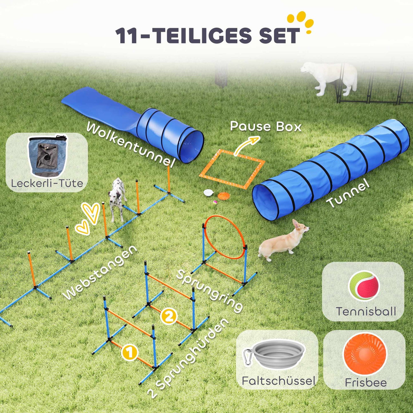 Dog Agility Set with Adjustable Jumps and Tunnel