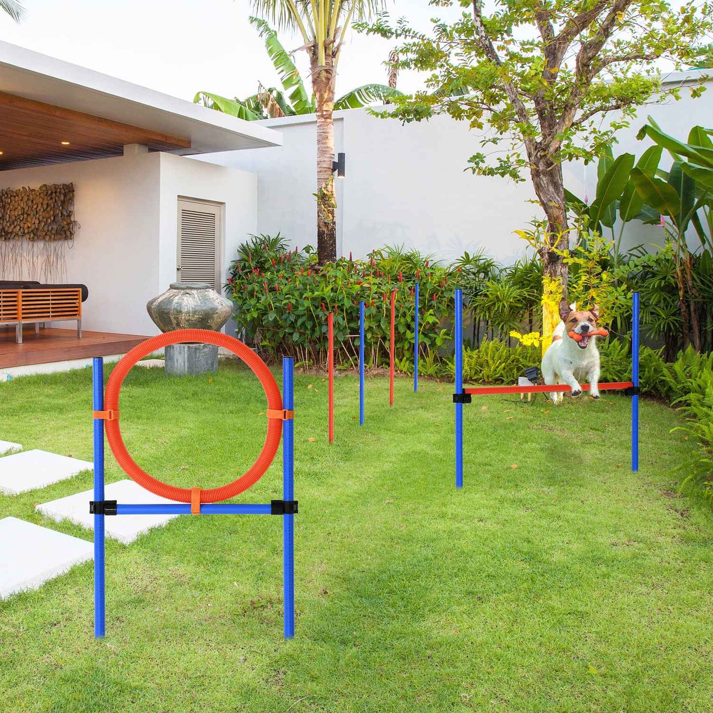 Dog Agility Exercise Set, 3-in-1 training set, blue/red