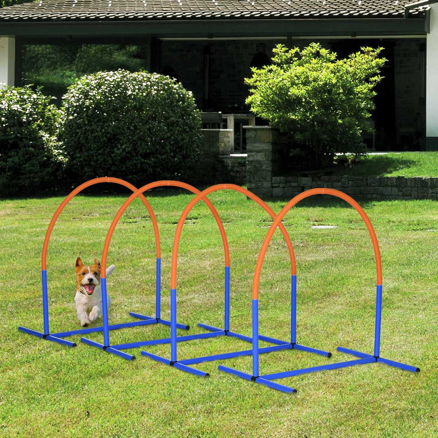 Dog Agility Training Set, 4-piece with carrying bag, blue/orange