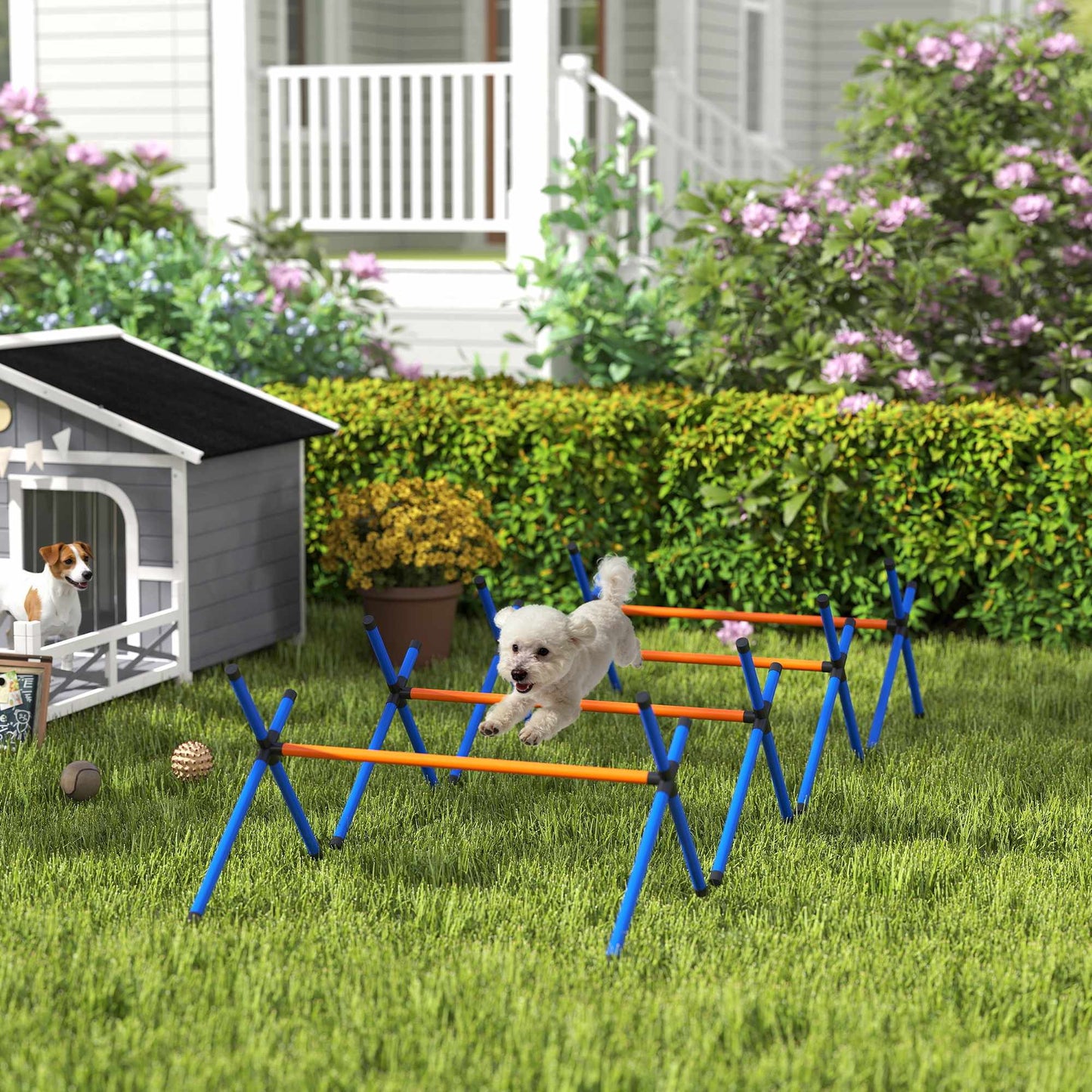 Dog Agility Training Set, Adjustable Heights, Portable
