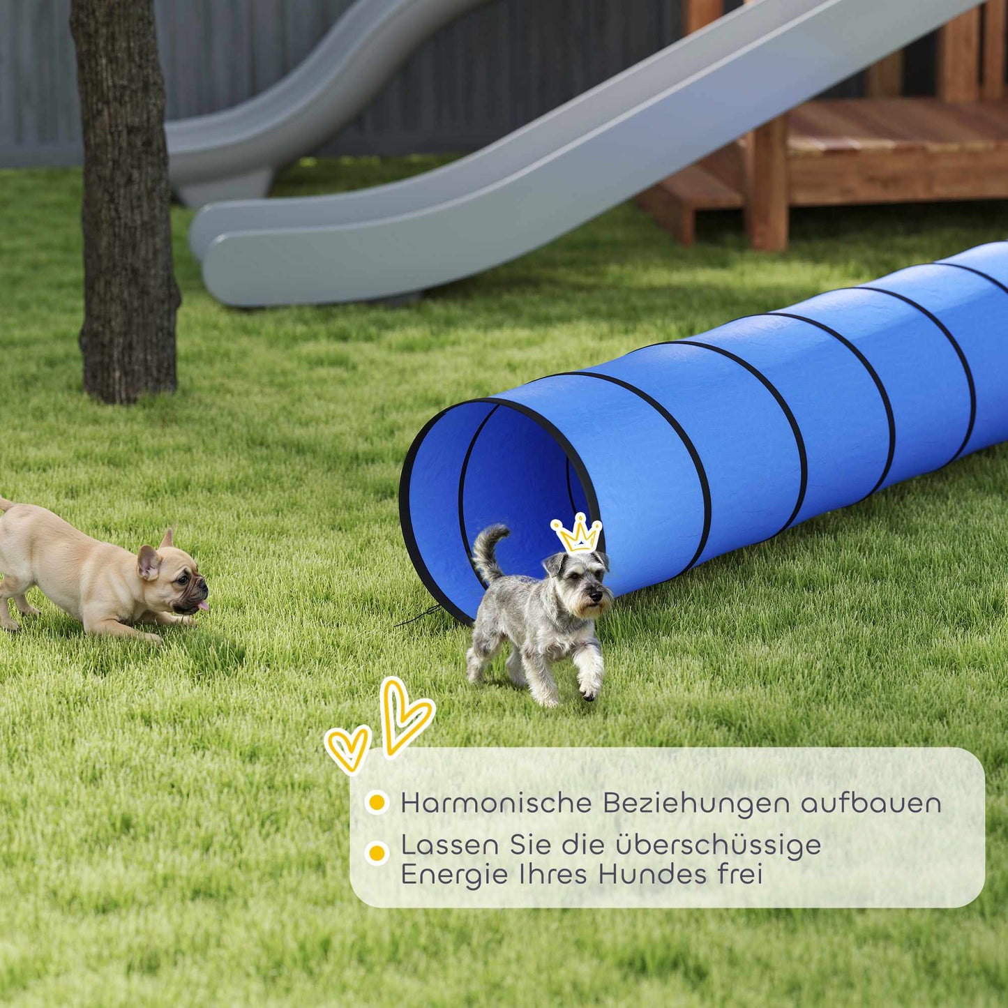 Dog Agility Tunnel, 300cm, Oxford Fabric, with Anchors