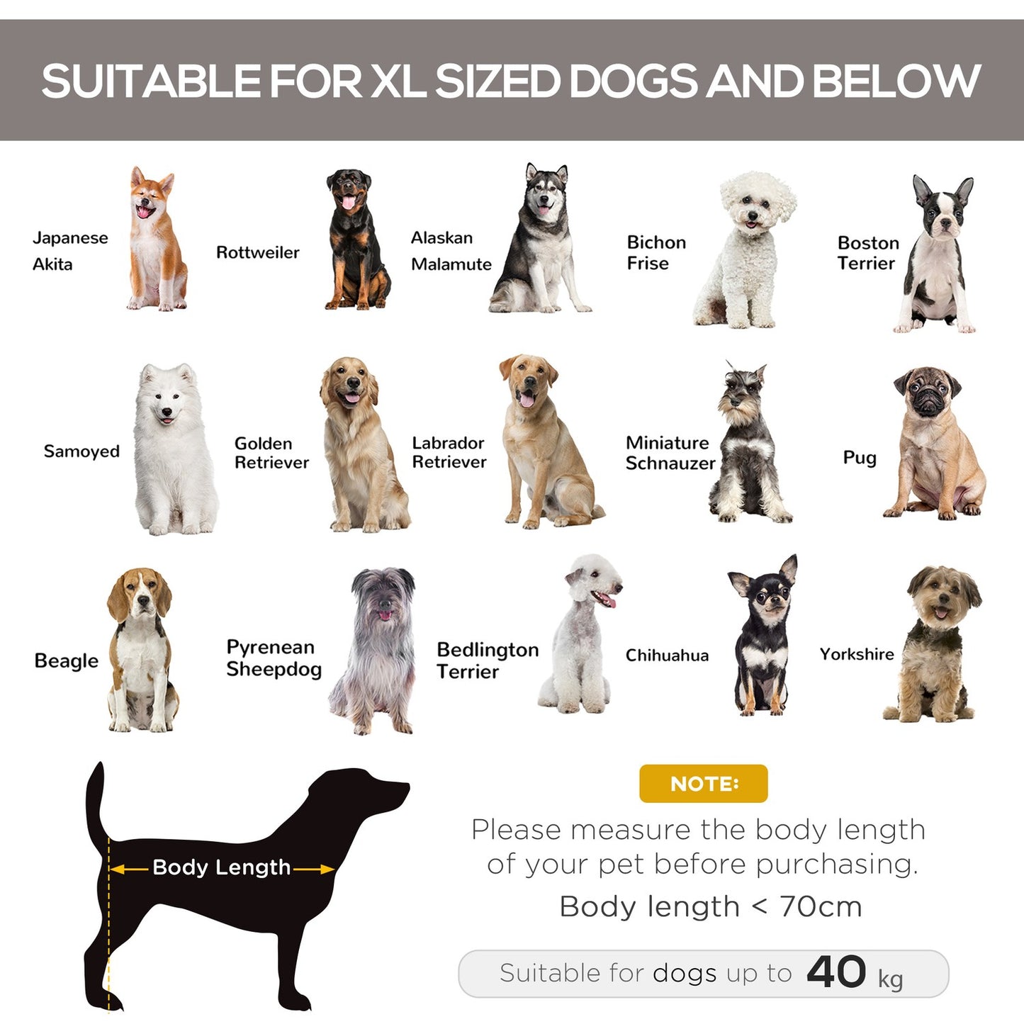 Outdoor bed for pets - Mesh fabric, metal frame, 130x80x20 cm