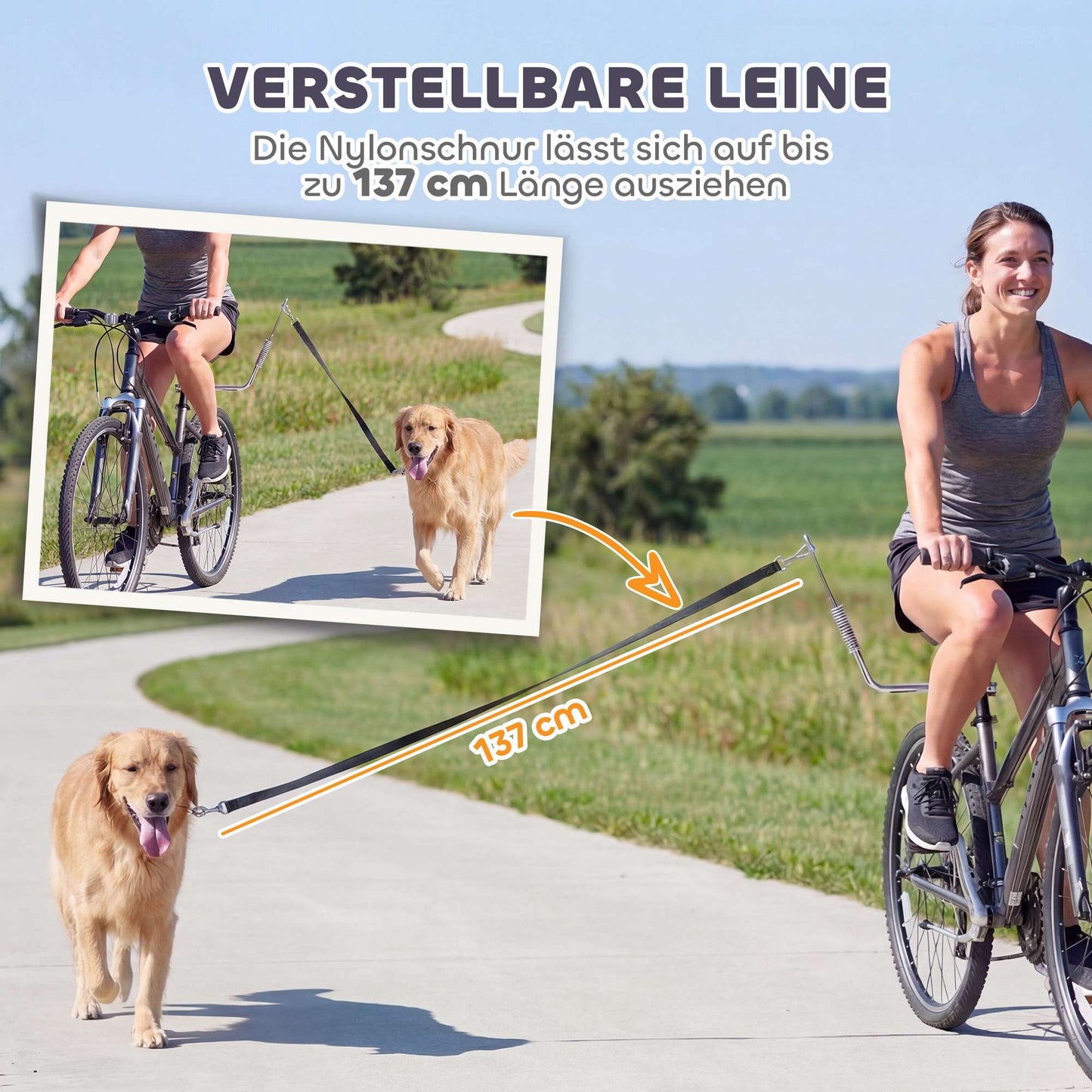 Dog Bike Leash with Shock Absorbers, Adjustable, Silver/Black