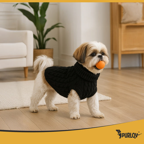 Dog/Cat Sweater, Black, Size L, Winter Warmth