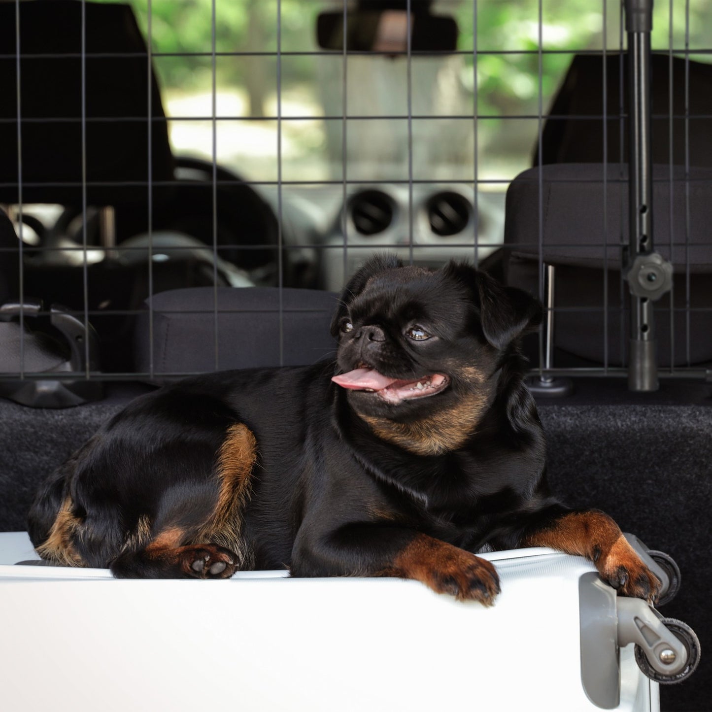 Dog Guard for Car – Adjustable Pet Barrier