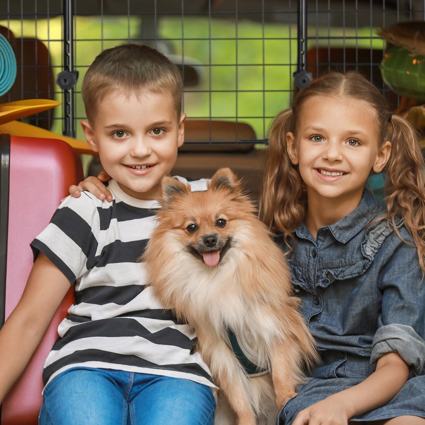 <p>Ensure safe and stylish travel with this dog safety gate, designed for secure transport and easy installation in your car's luggage compartment.</p>

<ul>
<li>Mount easily to head restraints for quick setup.</li>
<li>Ensure safe transport for pets duri