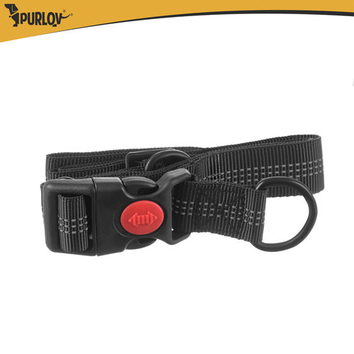 Dog Running Waist Belt with Leash, Cushioned, Reflective