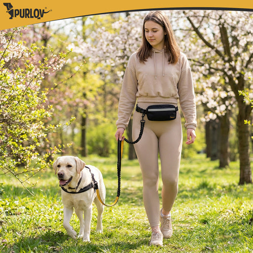 Dog Running Waist Belt with Leash, Cushioned, Reflective