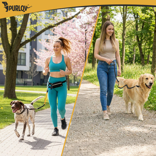Dog Running Waist Belt with Leash, Cushioned, Reflective