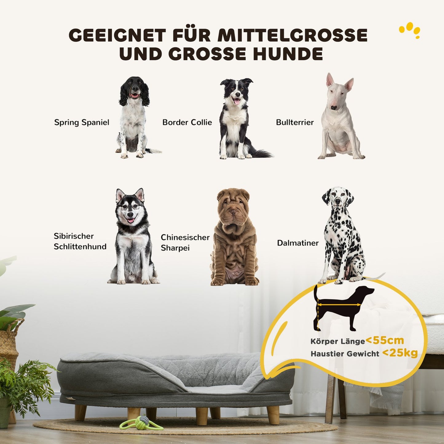 Gray dog sofa - washable cover, backrest, wooden legs