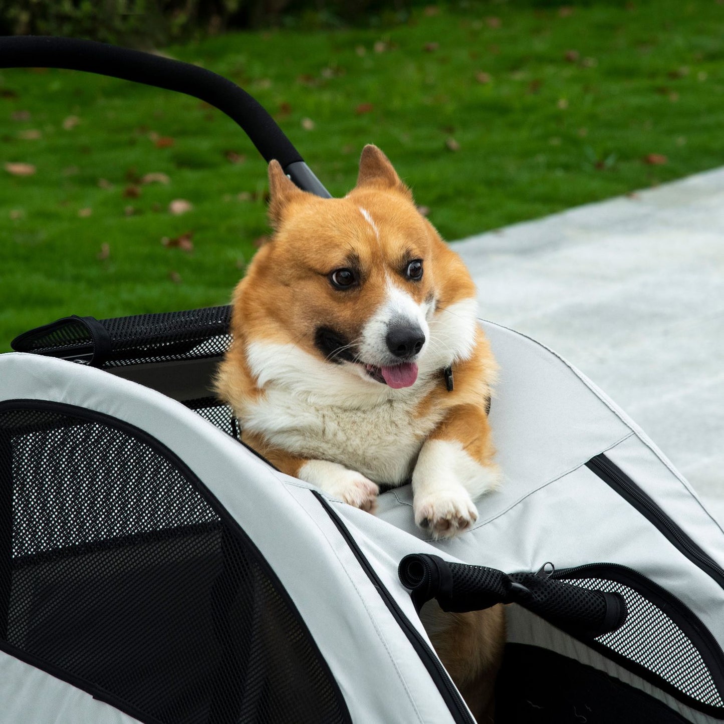Pet stroller with mesh window and storage, foldable 4-wheel design