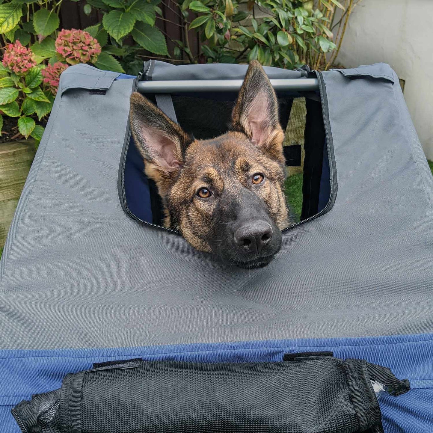 Dog bike stroller, Oxford fabric, blue, rain cover