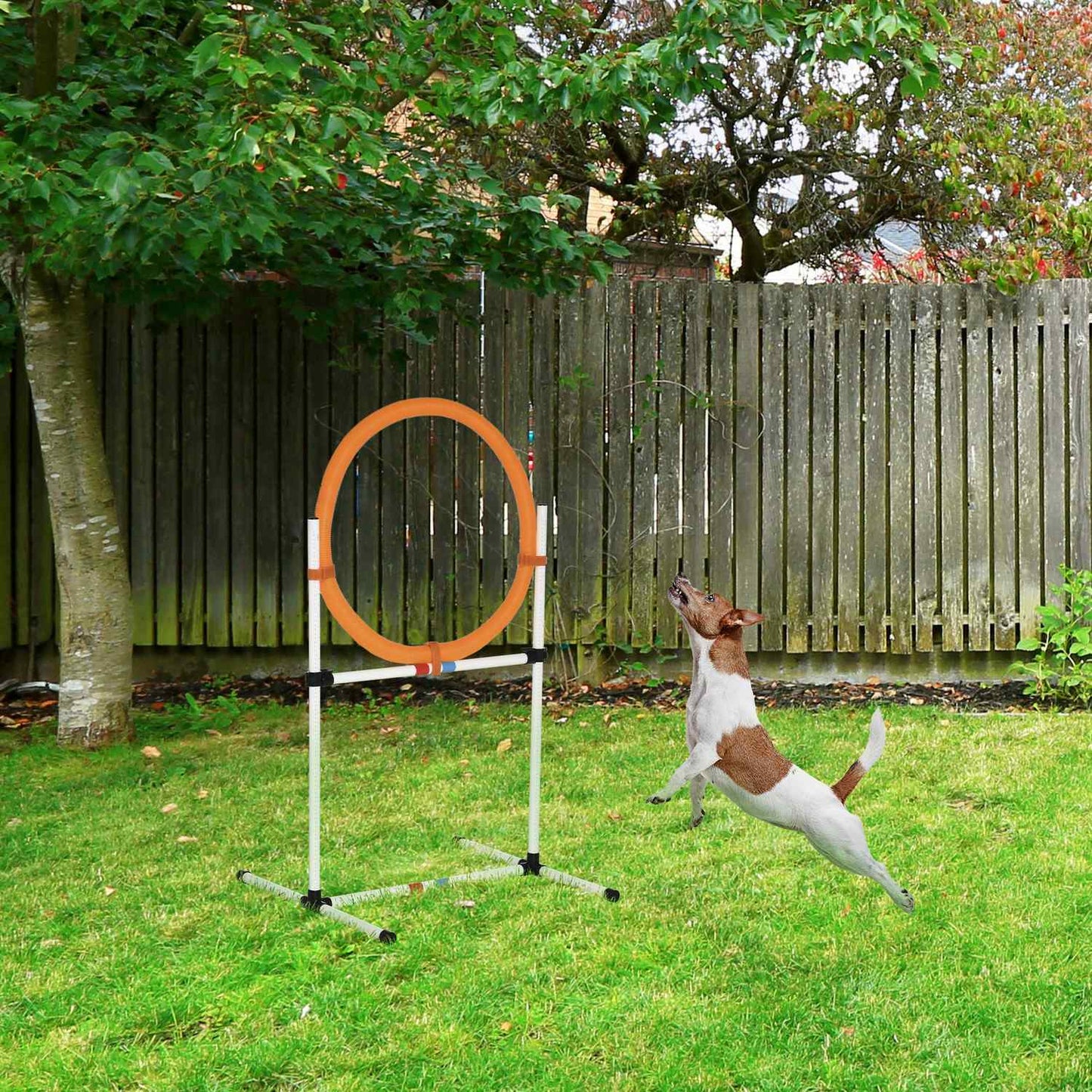 Dog Agility Training Jump Ring, Portable, White/Orange
