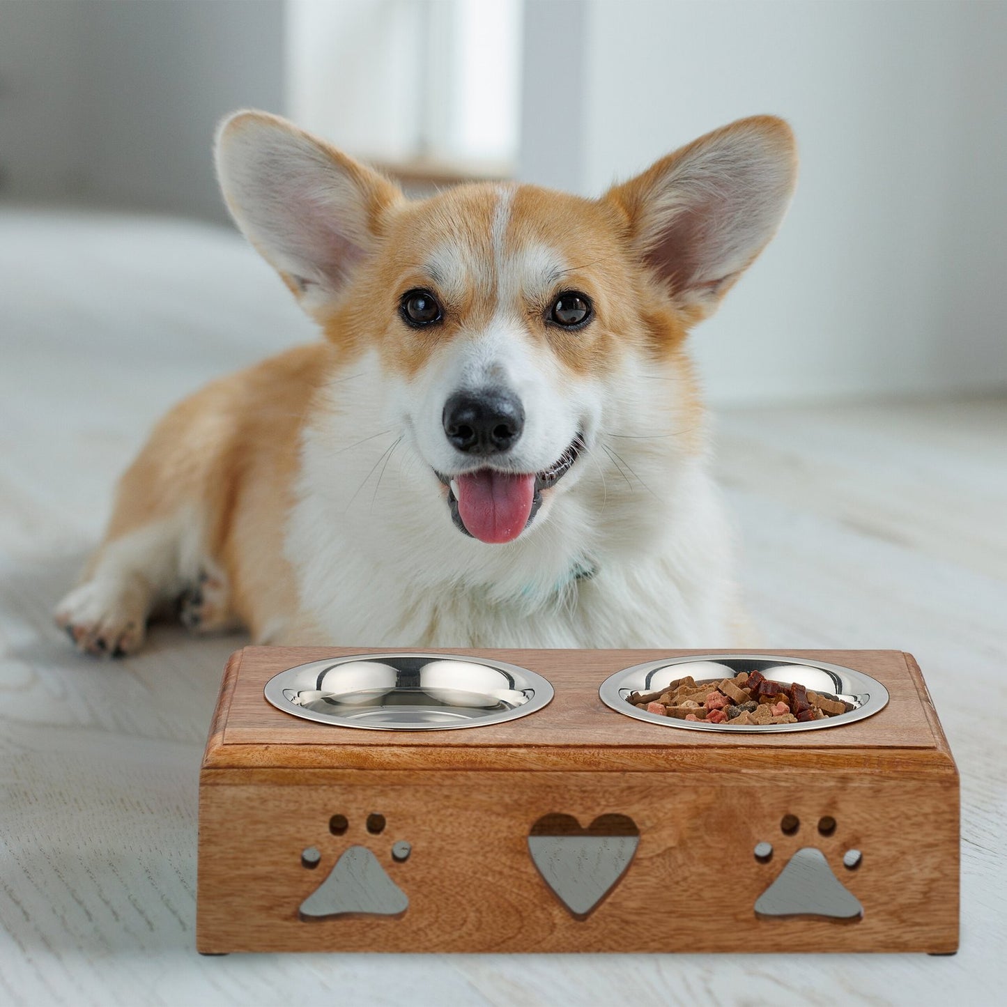 Dog bowl bar with 2 bowls