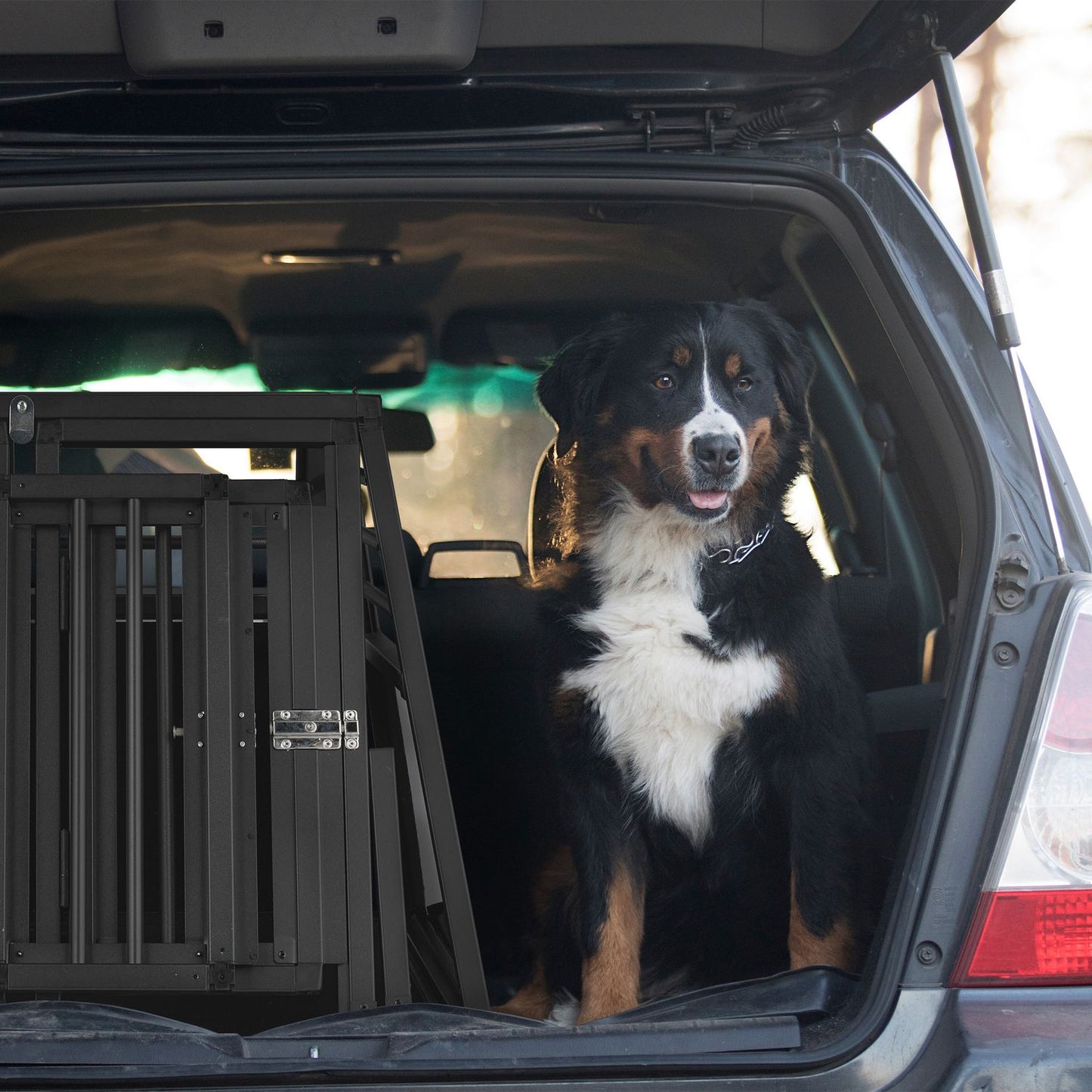 <p>Large dog cage for car transport ensures safe, comfortable travel for your pet. Its robust aluminum build and removable partition allow for flexible use, fitting perfectly in most car boots.</p>

<ul>
<li>Ensure safety with robust aluminum construction
