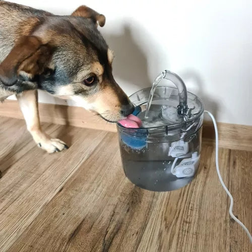 Dog/cat waterer filter - 4 pcs. Purlov 23925