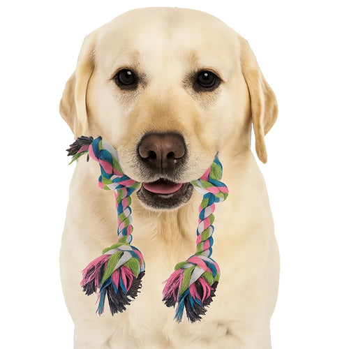 Dog chew toy, tug - set 25384
