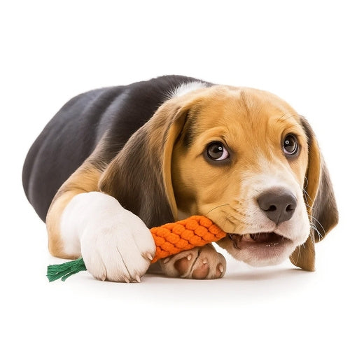 Dog chew toy, tug - set 25384