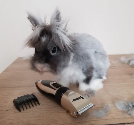 Dog clipper - set