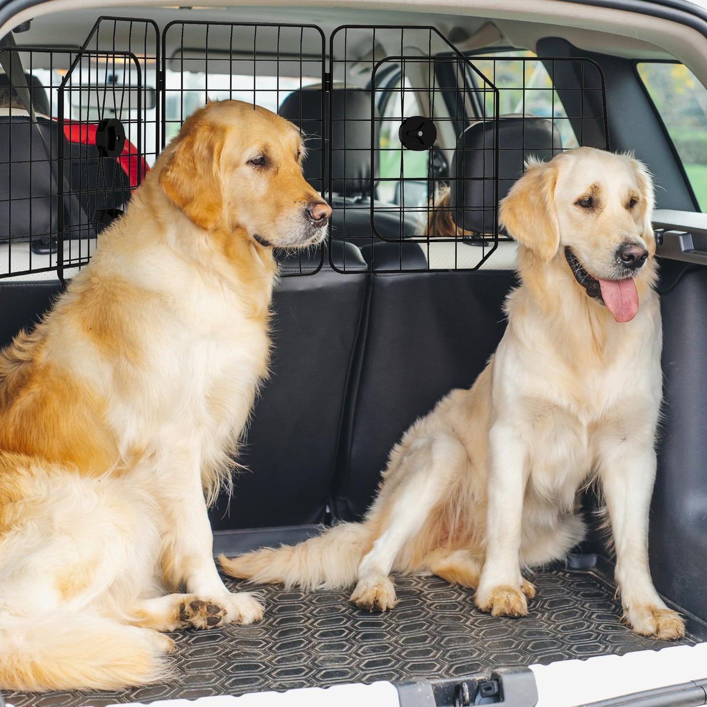 Adjustable dog guard in black steel for car trunks