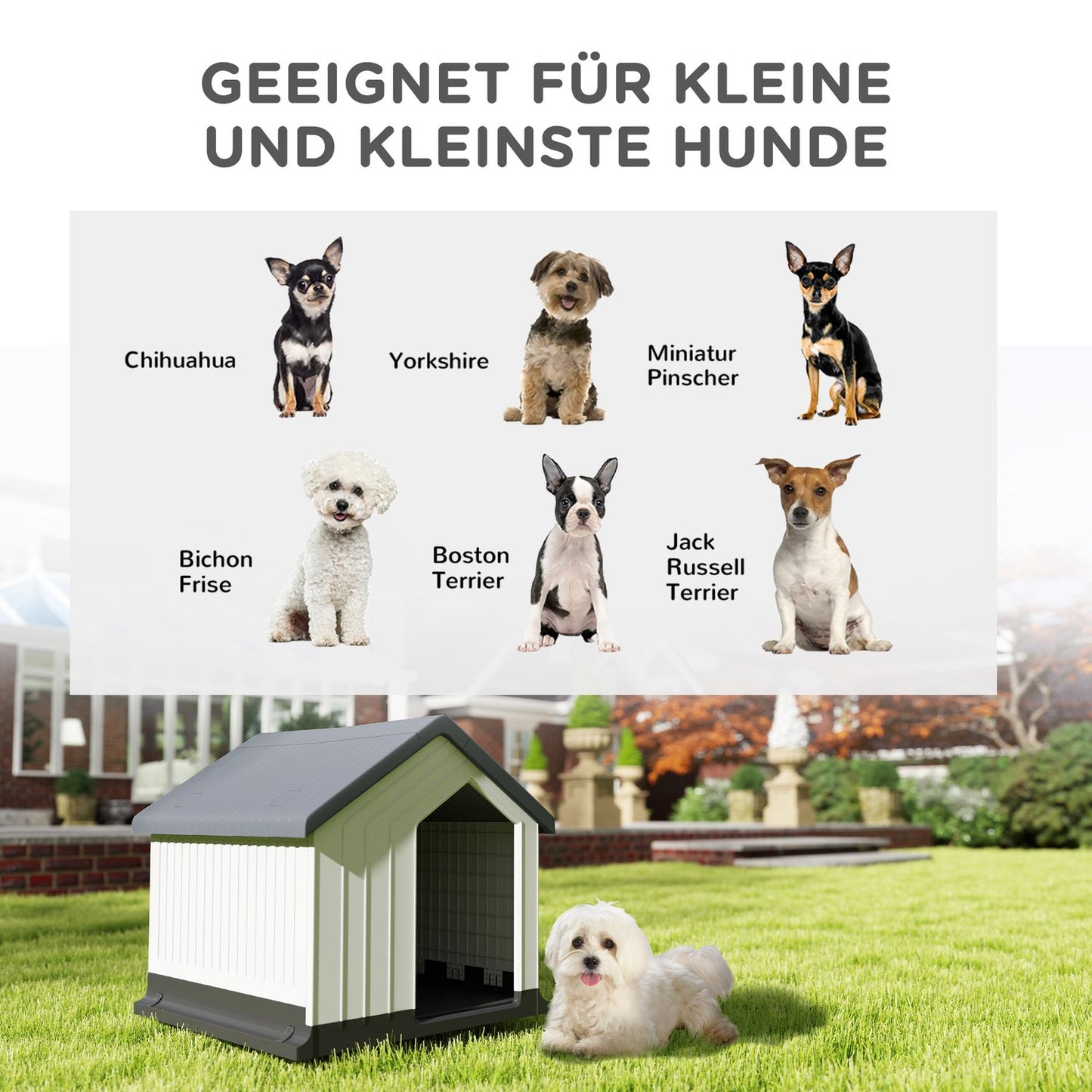 Weatherproof Dog House with Window, Asphalt Roof 62x61x60 cm