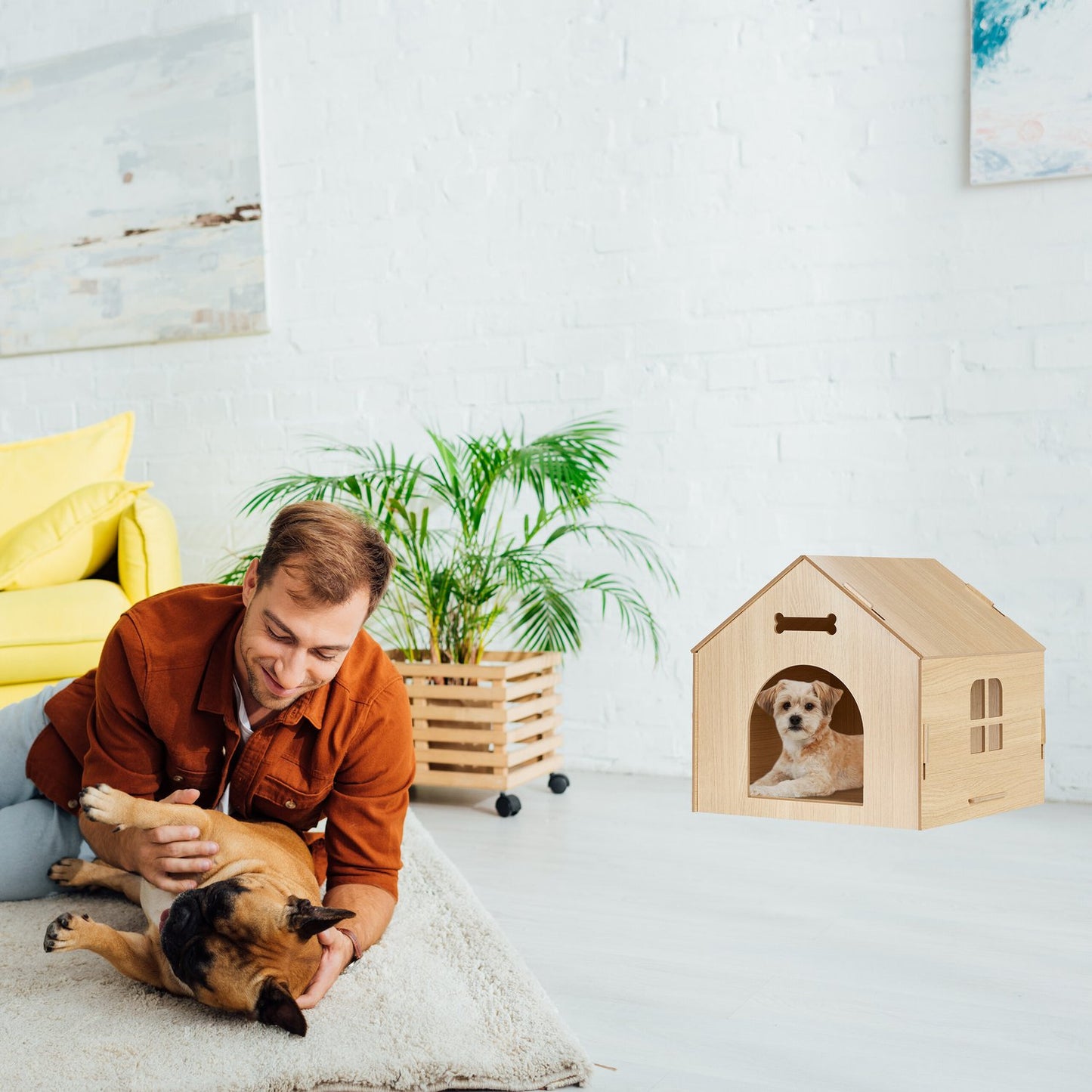 Dog house for indoor use to build yourself