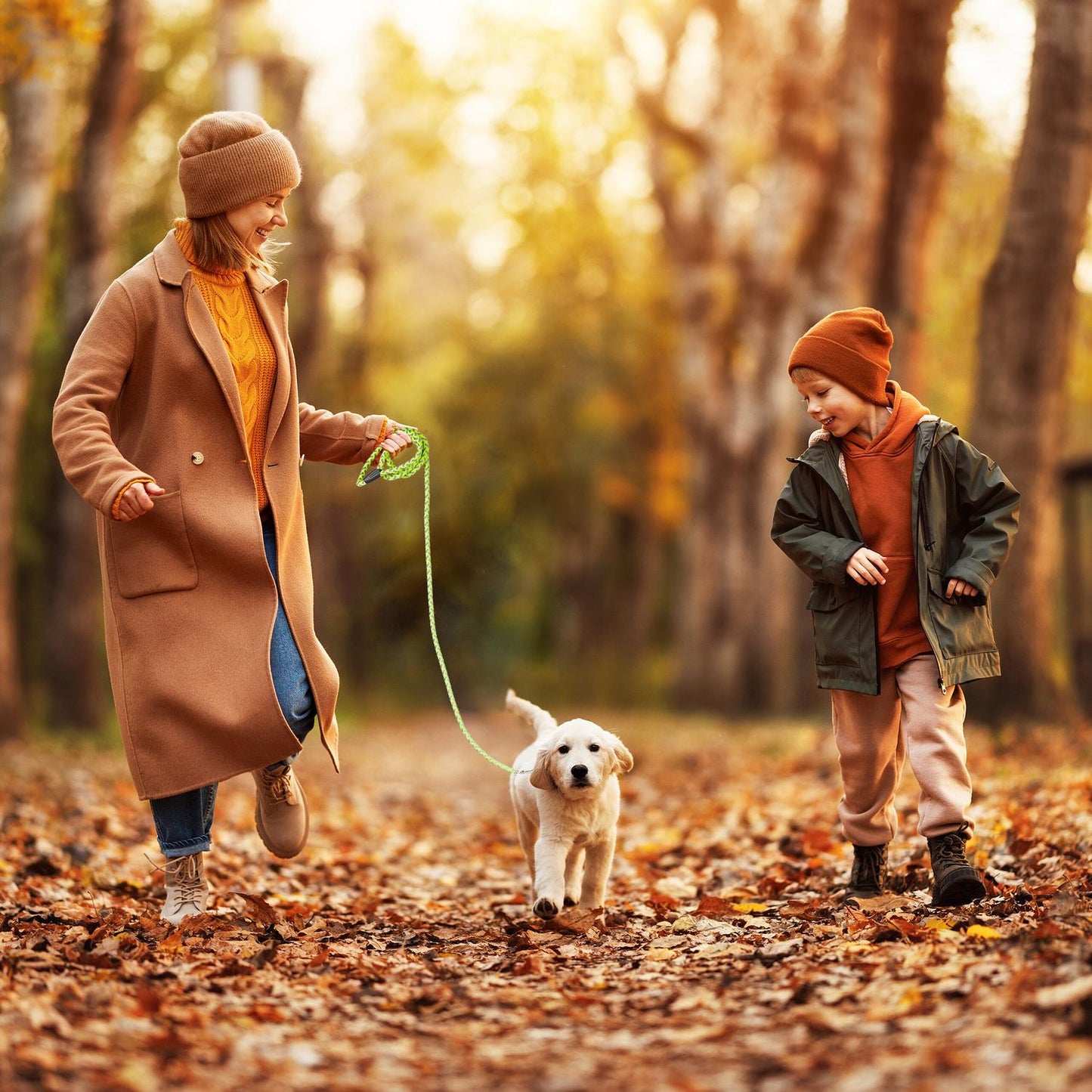 Dog leash 2.50 m