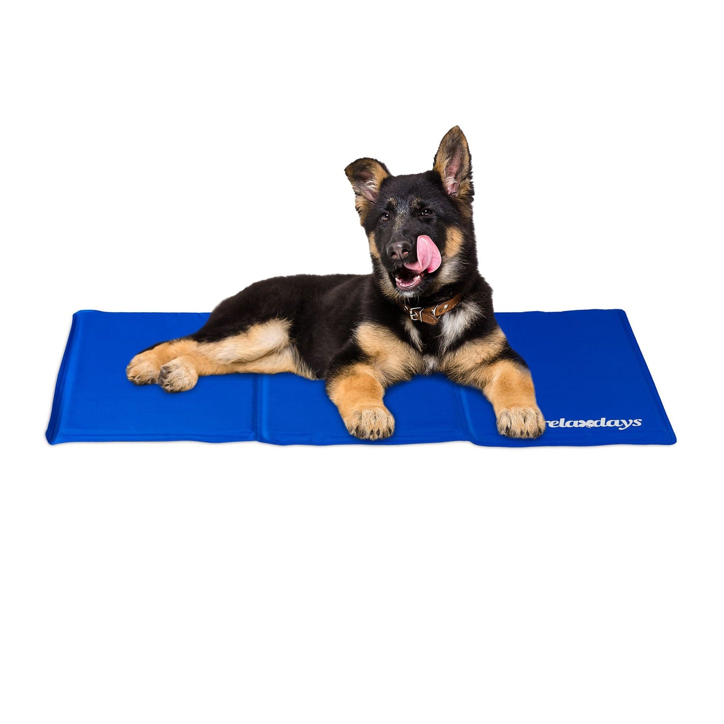 Dog mat blue