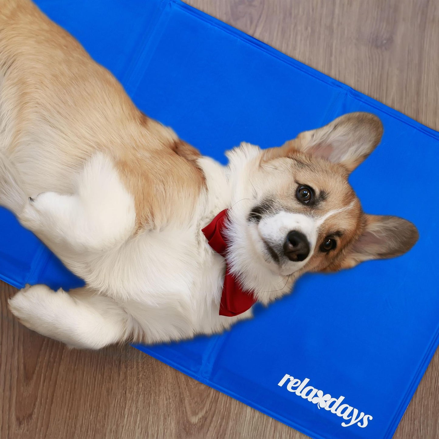 Dog mat blue