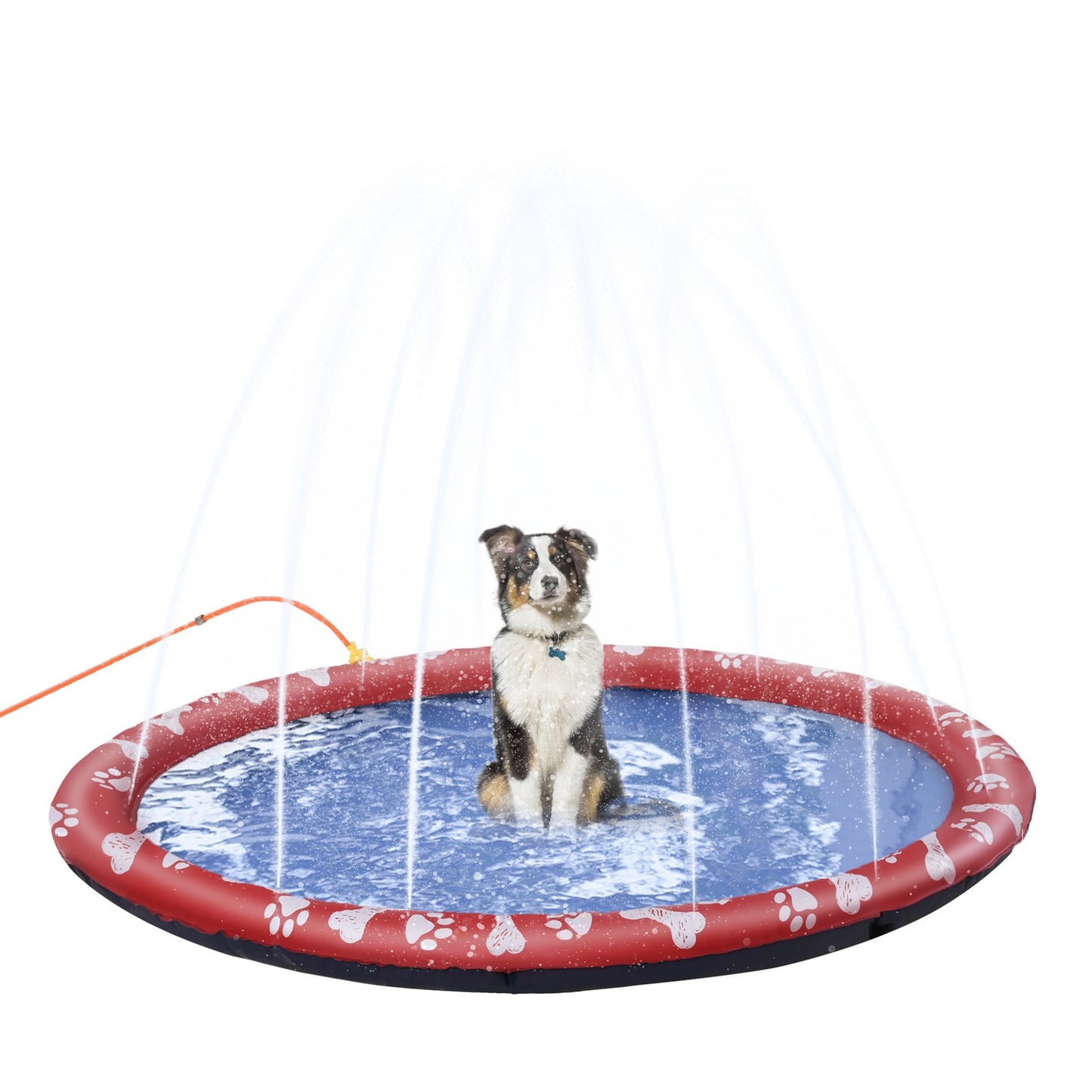 Dog pool, 170 cm water mat, non-slip for garden