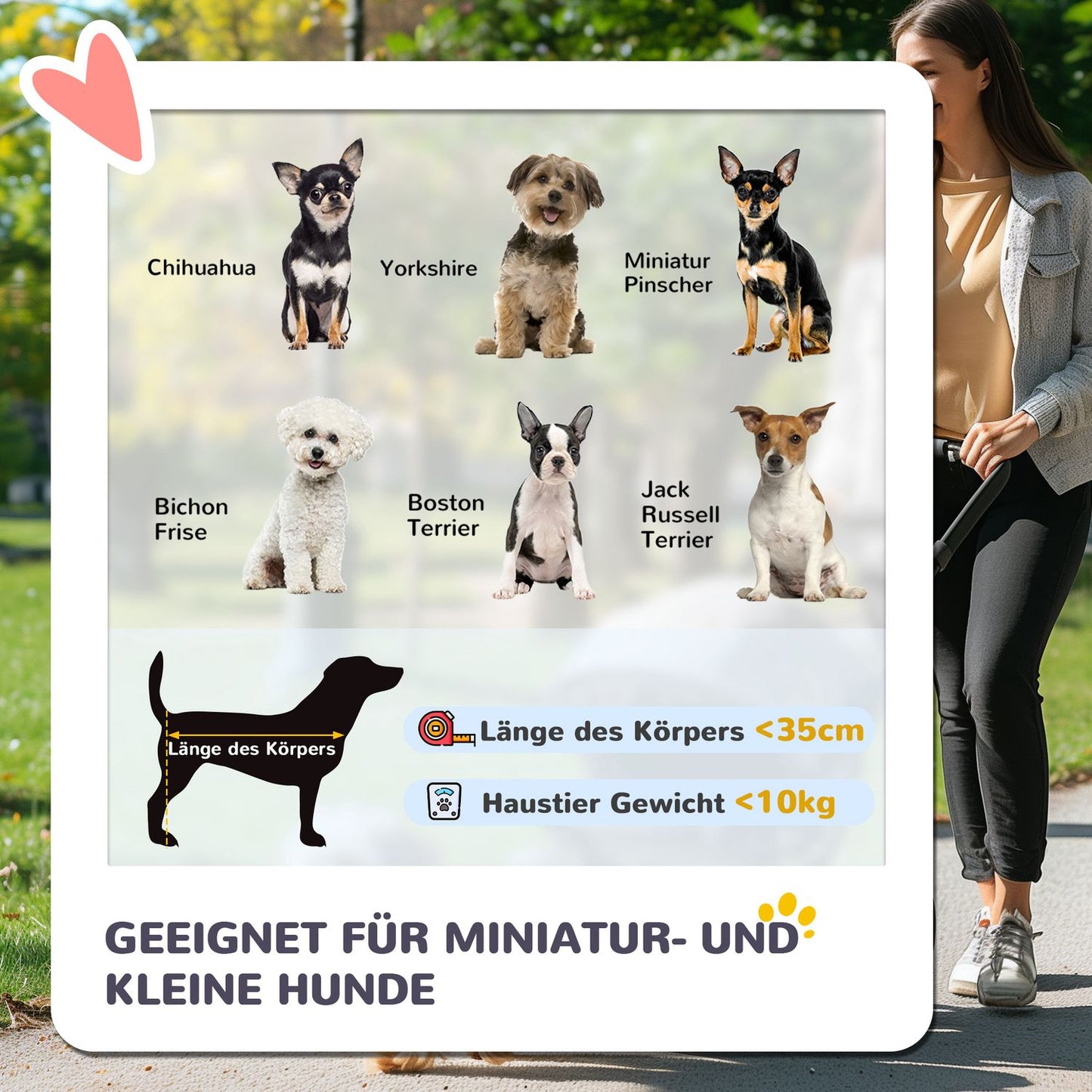 Collapsible pet trolley for dogs and cats, up to 10 kg, dark grey