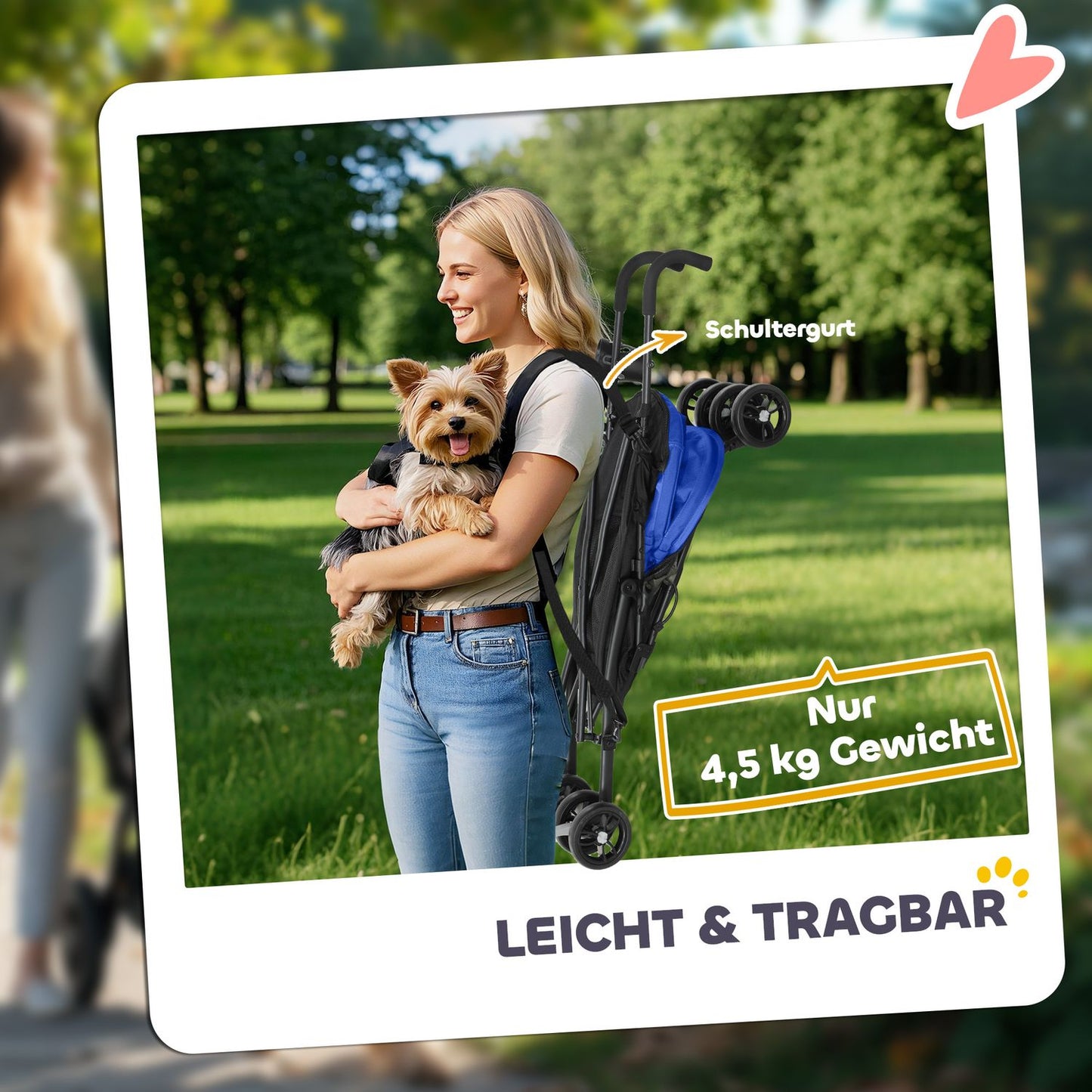Collapsible pet cart for dogs and cats up to 4 kg, net and storage