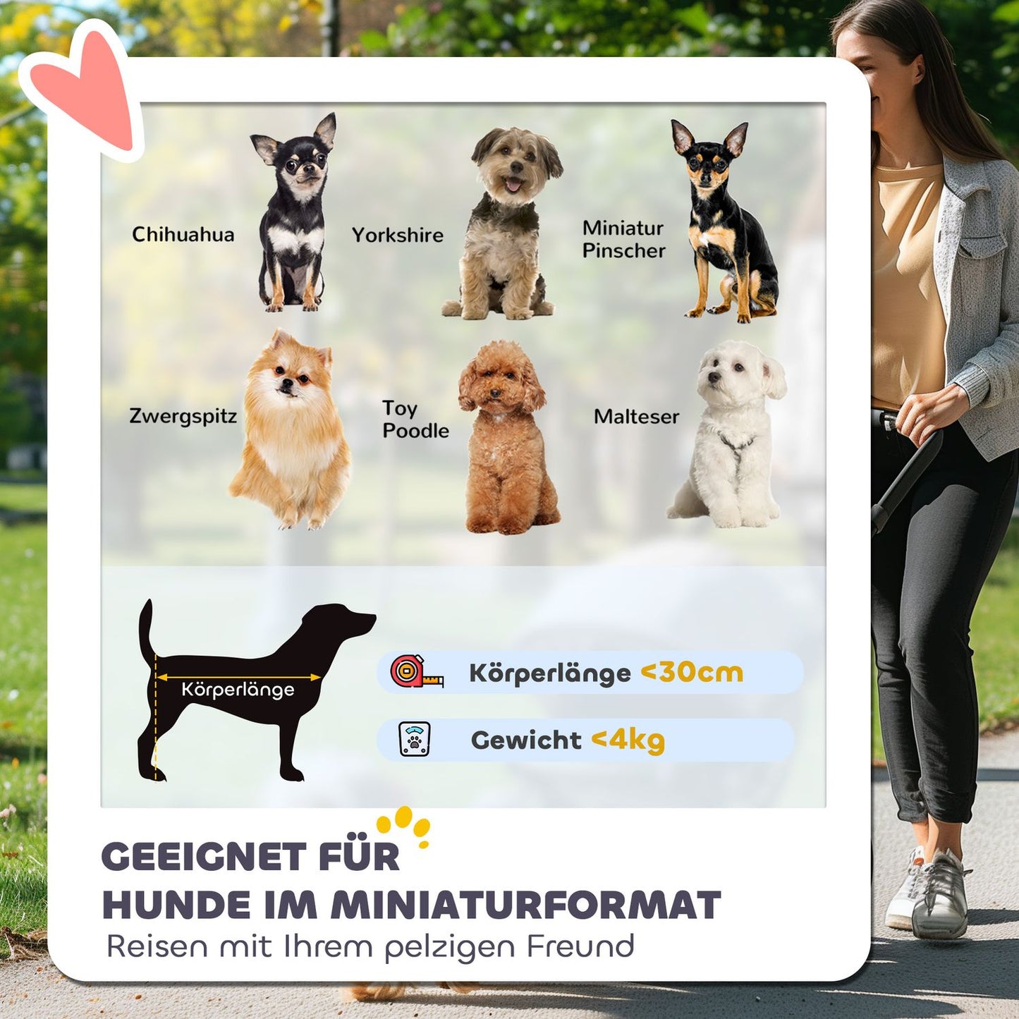 Collapsible pet stroller for cats and dogs up to 4 kg - mesh window, storage bag