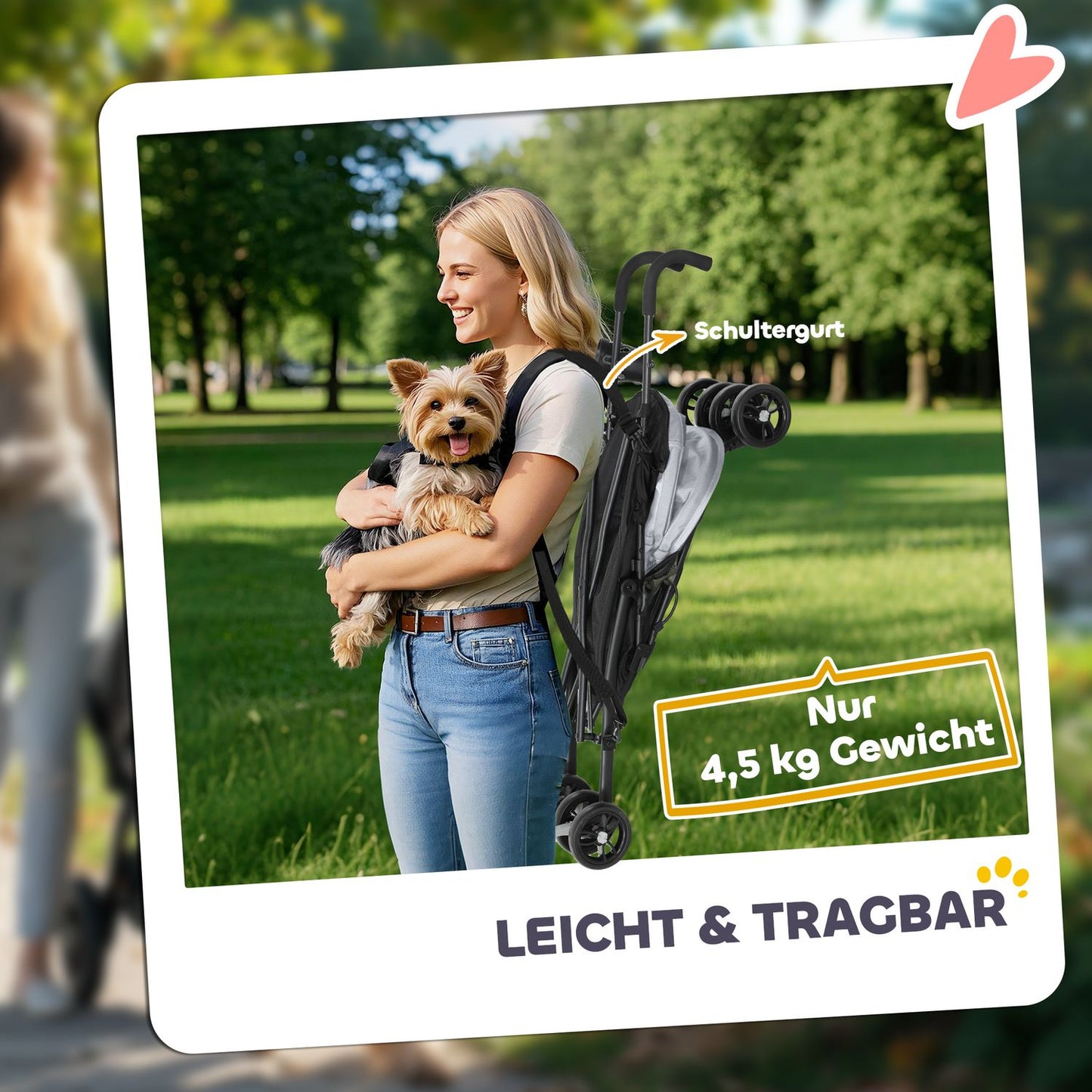 Collapsible pet carriage with mesh window and storage