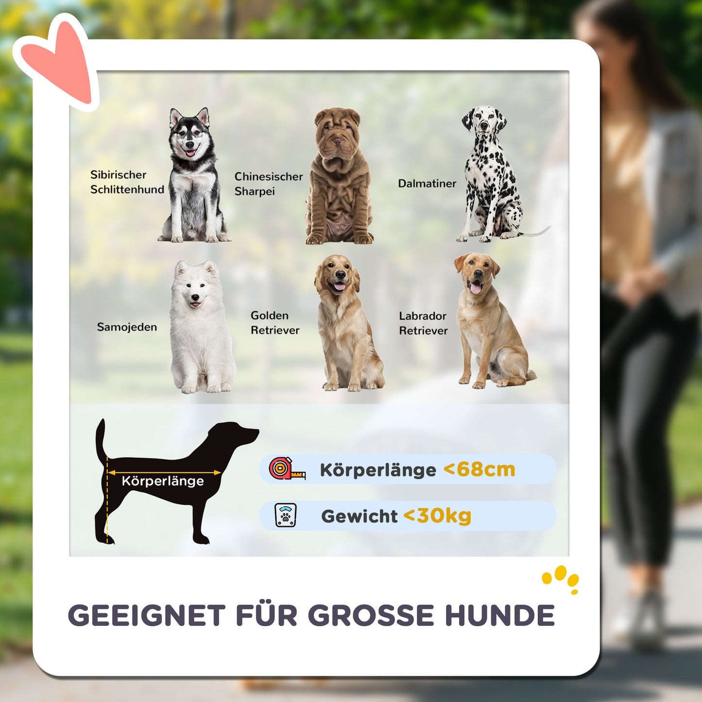 Collapsible pet carriage for large dogs and cats, up to 30 kg