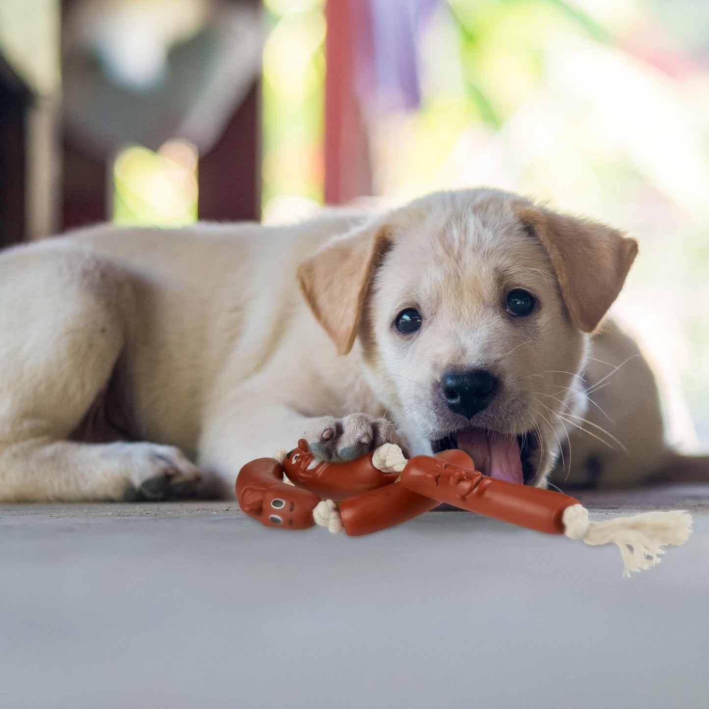 Dog toy Sausage