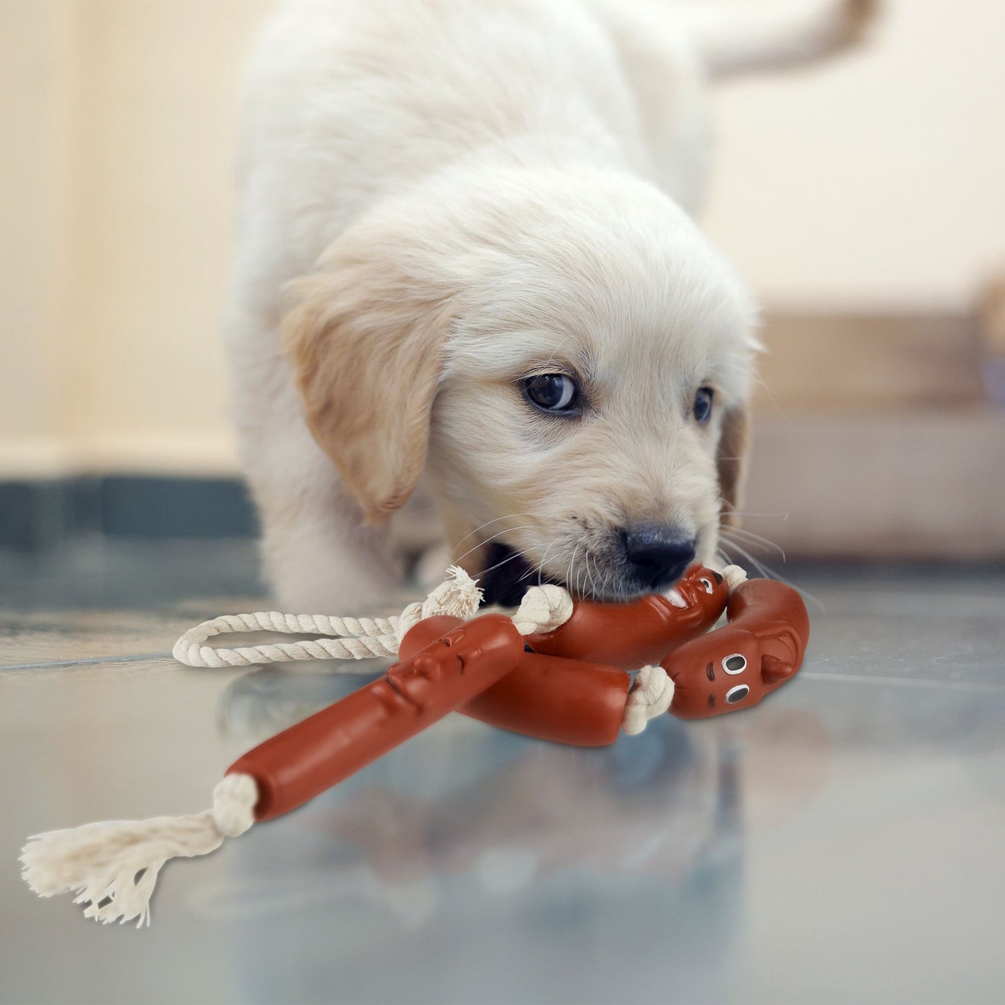 Dog toy Sausage