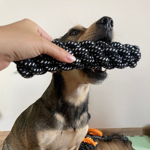 Dog toy set - 10 pcs Purlov 24388